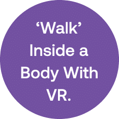 ‘Walk’ Inside a Body With VR. 