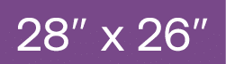 28  x 26 