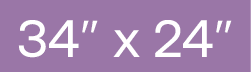 34  x 24 
