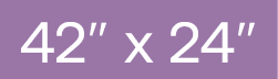 42  x 24 