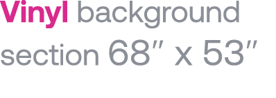 Vinyl background section 68  x 53  