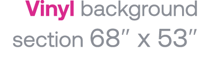 Vinyl background section 68  x 53  