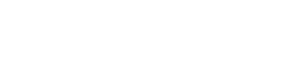 Contact: 703 622 2162 bridively@gmail.com