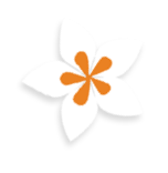 A flower with an orange center and orange petals. AI generated content