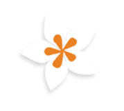 A flower with an orange center and orange petals. AI generated content