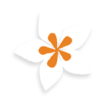 A flower with an orange center and orange petals. AI generated content