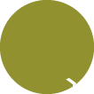 ‹